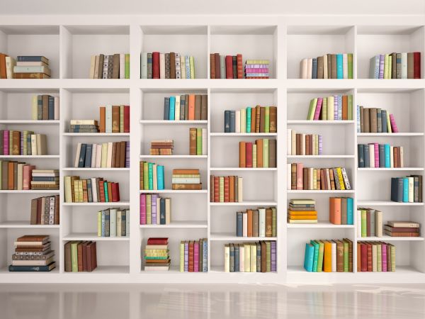 Bookshelf Assembly in Saint Johns